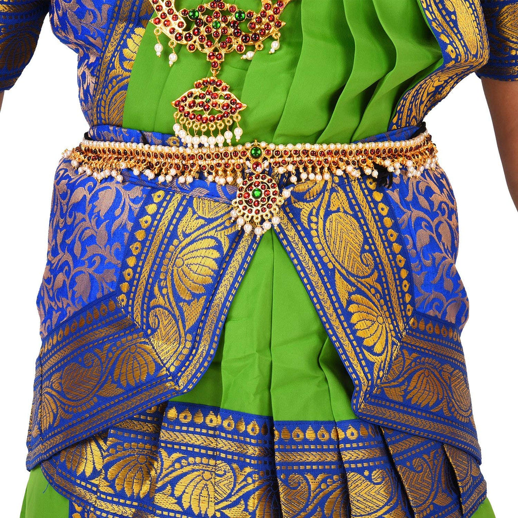 Buy Traditional Blue Yellow Bharatanatyam Dress Online For Women – The  Dance Bible